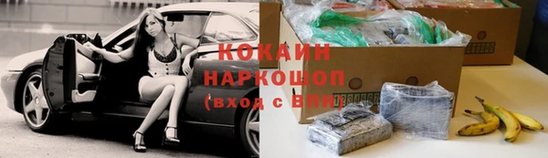 меф Арсеньев