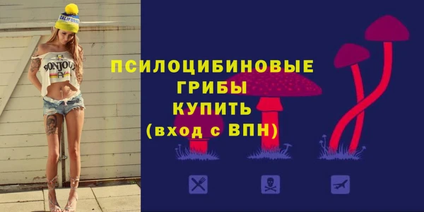 тгк Армянск