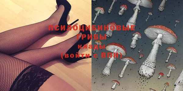 меф Арсеньев