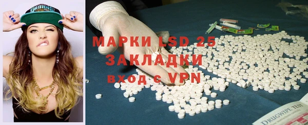 spice Аркадак