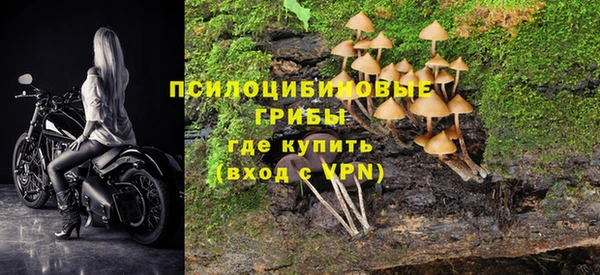 тгк Армянск