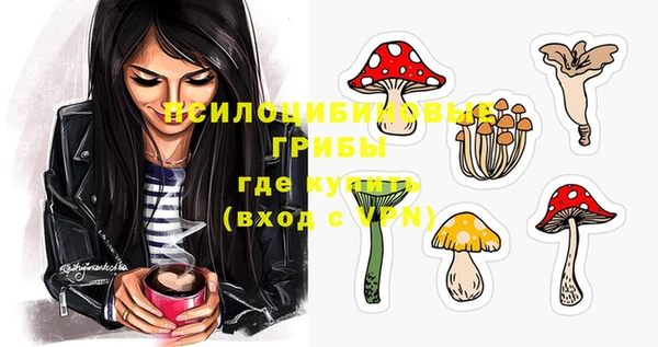 прущие крисы Краснослободск