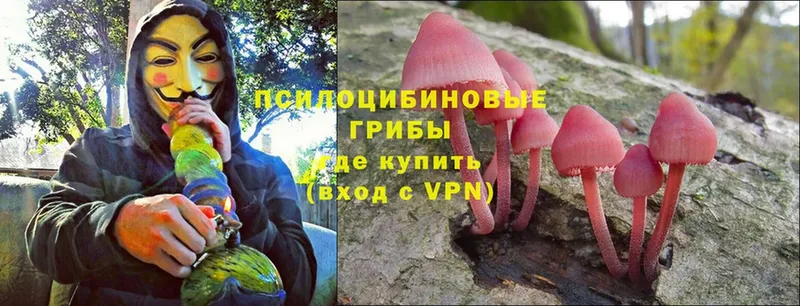 Галлюциногенные грибы Cubensis Давлеканово