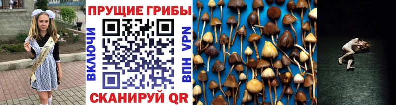 Галлюциногенные грибы мухоморы купить закладку кракен как войти Давлеканово